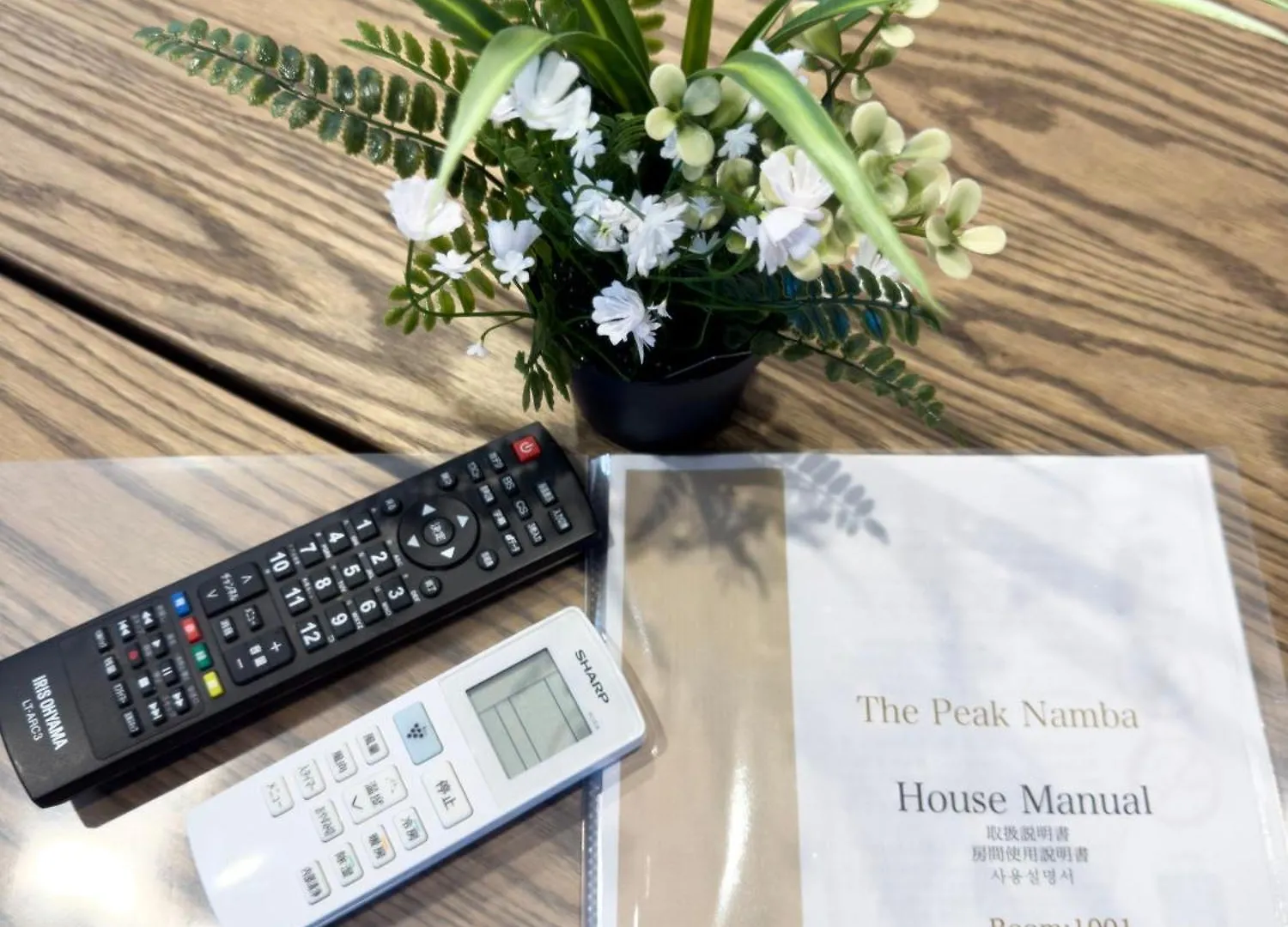 The Peak Namba Apartment Osaka